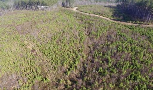 Photo of 114 acres of Recreational and Hunting Land For Sale in Lunenburg County VA!