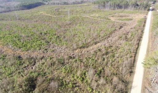 Photo of 114 acres of Recreational and Hunting Land For Sale in Lunenburg County VA!
