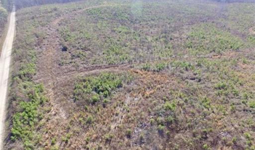 Photo of 114 acres of Recreational and Hunting Land For Sale in Lunenburg County VA!