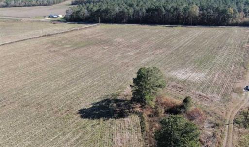 Photo of 69 acres of Hunting and Farmland For Sale in Robeson County NC!