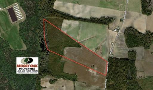 Photo of 69 acres of Hunting and Farmland For Sale in Robeson County NC!
