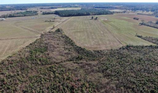 Photo of 69 acres of Hunting and Farmland For Sale in Robeson County NC!
