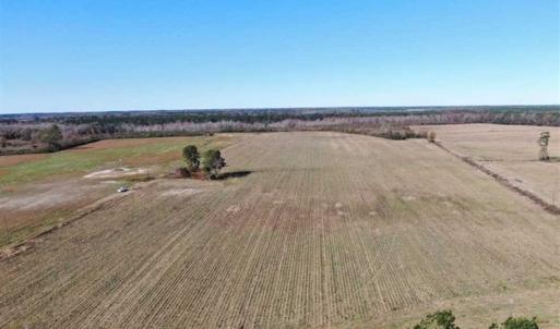 Photo of 69 acres of Hunting and Farmland For Sale in Robeson County NC!