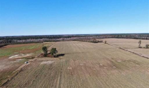 Photo of 69 acres of Hunting and Farmland For Sale in Robeson County NC!