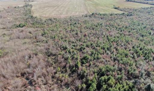 Photo of 69 acres of Hunting and Farmland For Sale in Robeson County NC!