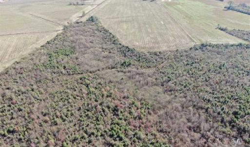 Photo of 69 acres of Hunting and Farmland For Sale in Robeson County NC!