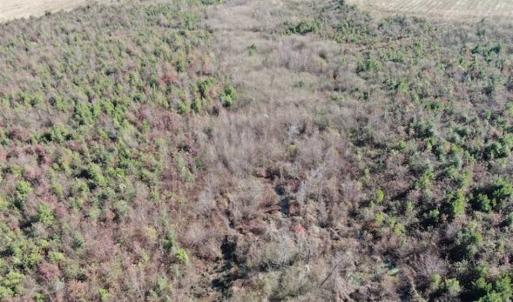 Photo of 69 acres of Hunting and Farmland For Sale in Robeson County NC!
