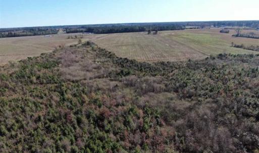 Photo of 69 acres of Hunting and Farmland For Sale in Robeson County NC!