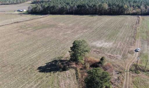 Photo of 69 acres of Hunting and Farmland For Sale in Robeson County NC!