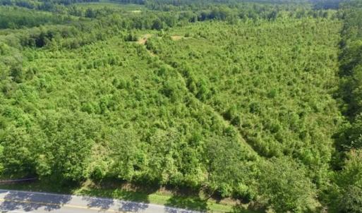 Photo of UNDER CONTRACT!!  49.5 Acres of Recreational and Hunting Land For Sale in Brunswick County VA!