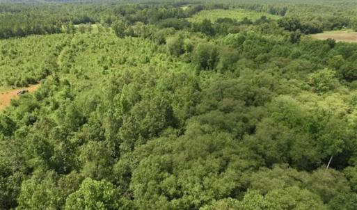 Photo of UNDER CONTRACT!!  49.5 Acres of Recreational and Hunting Land For Sale in Brunswick County VA!