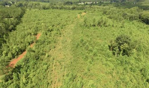 Photo of UNDER CONTRACT!!  49.5 Acres of Recreational and Hunting Land For Sale in Brunswick County VA!