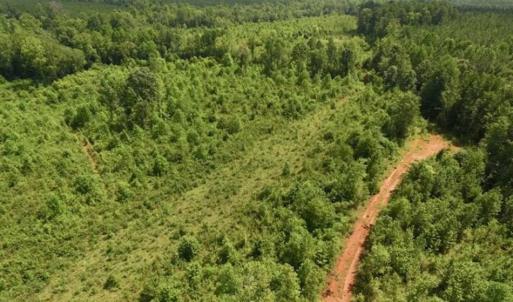 Photo of UNDER CONTRACT!!  49.5 Acres of Recreational and Hunting Land For Sale in Brunswick County VA!