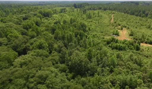 Photo of UNDER CONTRACT!!  49.5 Acres of Recreational and Hunting Land For Sale in Brunswick County VA!