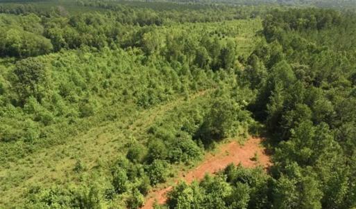 Photo of UNDER CONTRACT!!  49.5 Acres of Recreational and Hunting Land For Sale in Brunswick County VA!
