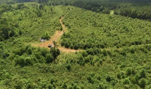 Photo of UNDER CONTRACT!!  49.5 Acres of Recreational and Hunting Land For Sale in Brunswick County VA!