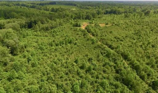 Photo of UNDER CONTRACT!!  49.5 Acres of Recreational and Hunting Land For Sale in Brunswick County VA!