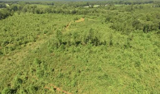 Photo of UNDER CONTRACT!!  49.5 Acres of Recreational and Hunting Land For Sale in Brunswick County VA!