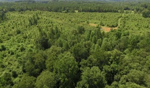 Photo of UNDER CONTRACT!!  49.5 Acres of Recreational and Hunting Land For Sale in Brunswick County VA!