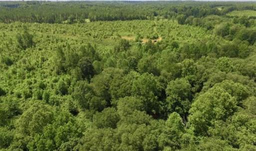 Photo of UNDER CONTRACT!!  49.5 Acres of Recreational and Hunting Land For Sale in Brunswick County VA!