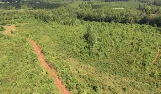 Photo of UNDER CONTRACT!!  49.5 Acres of Recreational and Hunting Land For Sale in Brunswick County VA!