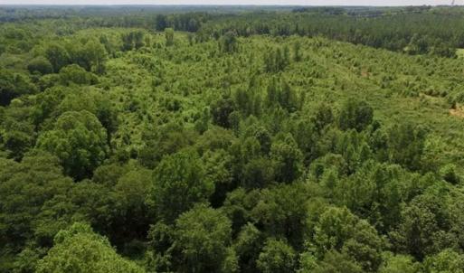 Photo of UNDER CONTRACT!!  49.5 Acres of Recreational and Hunting Land For Sale in Brunswick County VA!