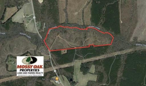 Photo of UNDER CONTRACT!!  49.5 Acres of Recreational and Hunting Land For Sale in Brunswick County VA!