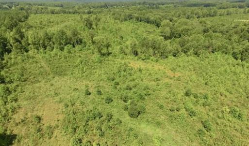 Photo of UNDER CONTRACT!!  49.5 Acres of Recreational and Hunting Land For Sale in Brunswick County VA!