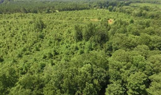 Photo of UNDER CONTRACT!!  49.5 Acres of Recreational and Hunting Land For Sale in Brunswick County VA!