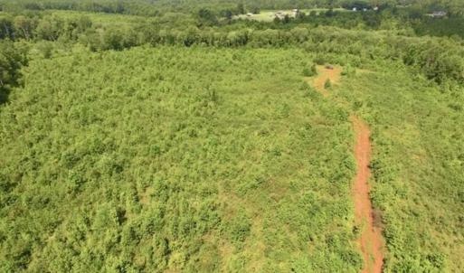 Photo of UNDER CONTRACT!!  49.5 Acres of Recreational and Hunting Land For Sale in Brunswick County VA!