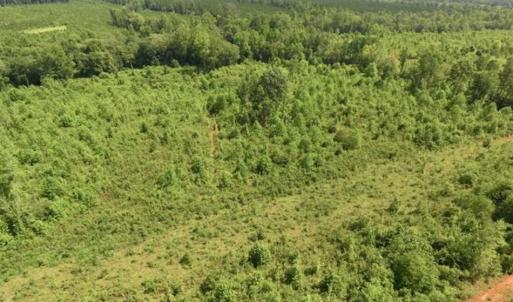 Photo of UNDER CONTRACT!!  49.5 Acres of Recreational and Hunting Land For Sale in Brunswick County VA!