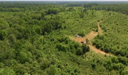 Photo of UNDER CONTRACT!!  49.5 Acres of Recreational and Hunting Land For Sale in Brunswick County VA!