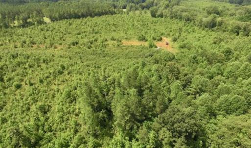 Photo of UNDER CONTRACT!!  49.5 Acres of Recreational and Hunting Land For Sale in Brunswick County VA!