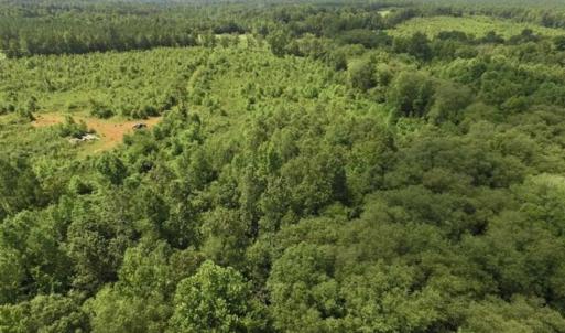 Photo of UNDER CONTRACT!!  49.5 Acres of Recreational and Hunting Land For Sale in Brunswick County VA!