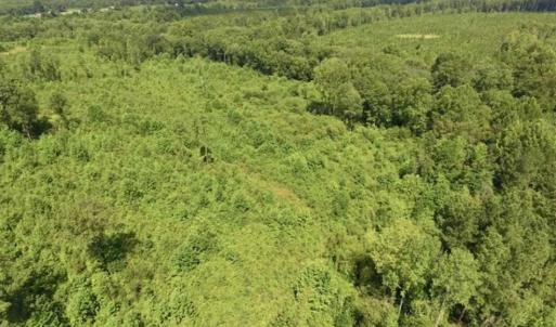 Photo of UNDER CONTRACT!!  49.5 Acres of Recreational and Hunting Land For Sale in Brunswick County VA!