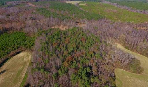 Photo of UNDER CONTRACT!!  107.9 Acres of Timber and Hunting Land For Sale in Nash County NC!