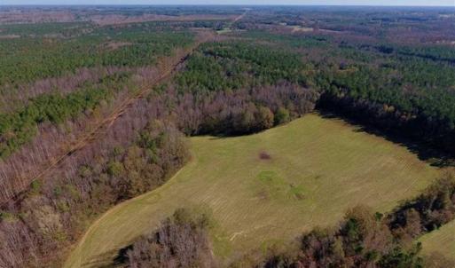 Photo of UNDER CONTRACT!!  107.9 Acres of Timber and Hunting Land For Sale in Nash County NC!