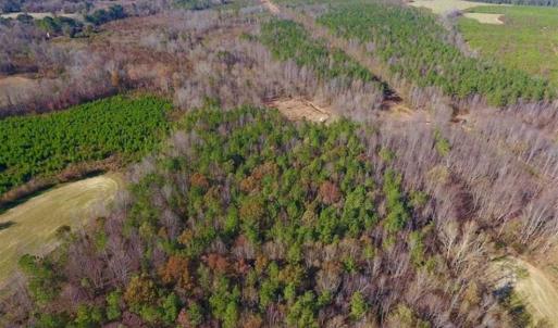 Photo of UNDER CONTRACT!!  107.9 Acres of Timber and Hunting Land For Sale in Nash County NC!