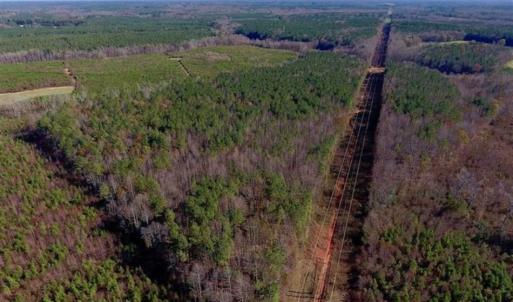 Photo of UNDER CONTRACT!!  107.9 Acres of Timber and Hunting Land For Sale in Nash County NC!