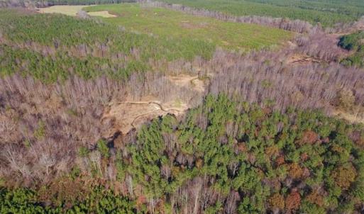 Photo of UNDER CONTRACT!!  107.9 Acres of Timber and Hunting Land For Sale in Nash County NC!