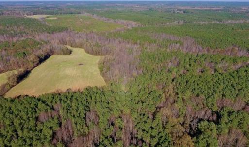 Photo of UNDER CONTRACT!!  107.9 Acres of Timber and Hunting Land For Sale in Nash County NC!