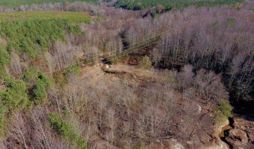 Photo of UNDER CONTRACT!!  107.9 Acres of Timber and Hunting Land For Sale in Nash County NC!