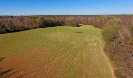 Photo of UNDER CONTRACT!!  107.9 Acres of Timber and Hunting Land For Sale in Nash County NC!