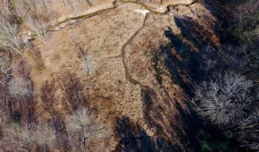 Photo of UNDER CONTRACT!!  107.9 Acres of Timber and Hunting Land For Sale in Nash County NC!