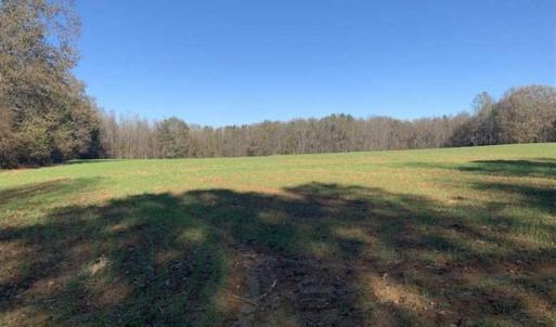 Photo of UNDER CONTRACT!!  107.9 Acres of Timber and Hunting Land For Sale in Nash County NC!