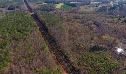 Photo of UNDER CONTRACT!!  107.9 Acres of Timber and Hunting Land For Sale in Nash County NC!