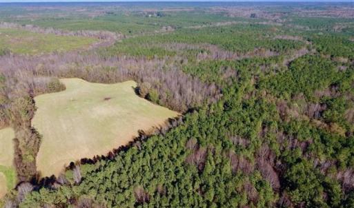 Photo of UNDER CONTRACT!!  107.9 Acres of Timber and Hunting Land For Sale in Nash County NC!