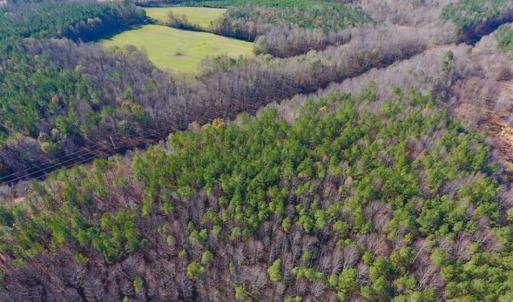 Photo of UNDER CONTRACT!!  107.9 Acres of Timber and Hunting Land For Sale in Nash County NC!