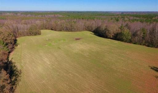Photo of UNDER CONTRACT!!  107.9 Acres of Timber and Hunting Land For Sale in Nash County NC!