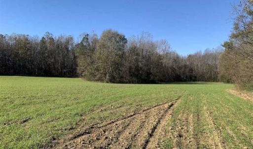 Photo of UNDER CONTRACT!!  107.9 Acres of Timber and Hunting Land For Sale in Nash County NC!